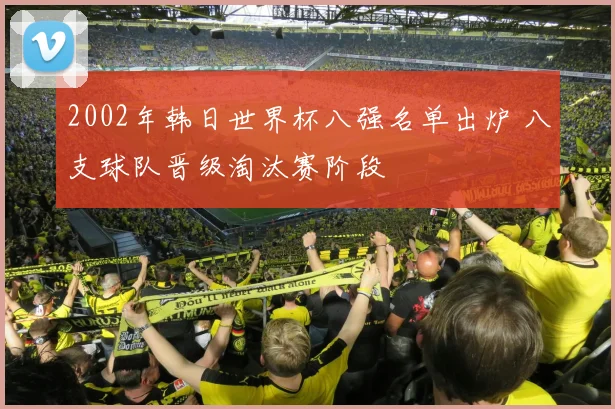 2002年韩日世界杯八强名单出炉 八支球队晋级淘汰赛阶段